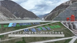 关于加快水利建设市场信用体系建设的实施意见